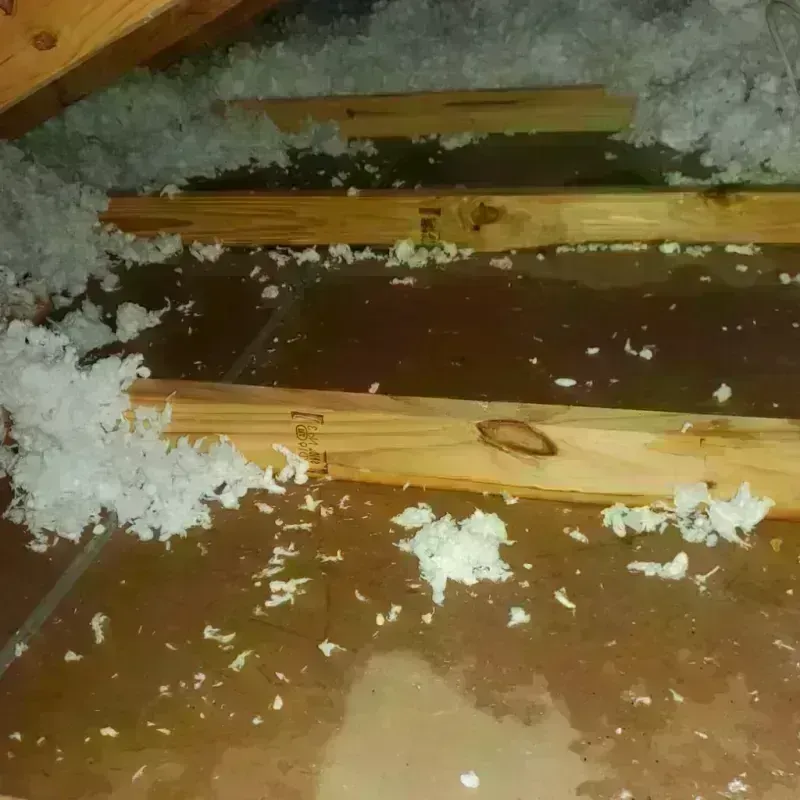 Attic Water Damage in Sparta, GA