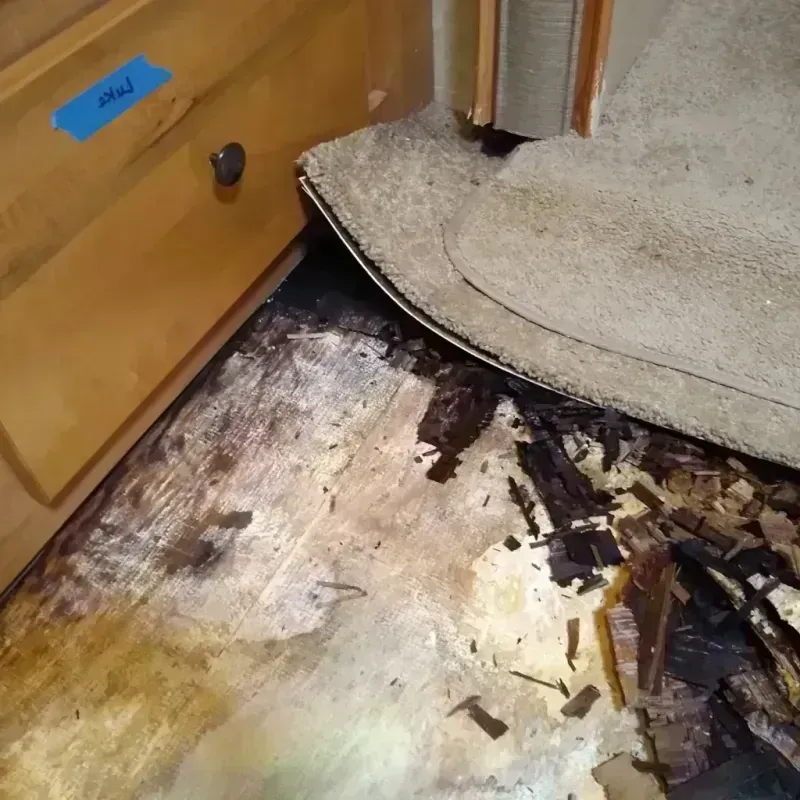 Wood Floor Water Damage in Sparta, GA